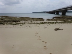 プライベートビーチ