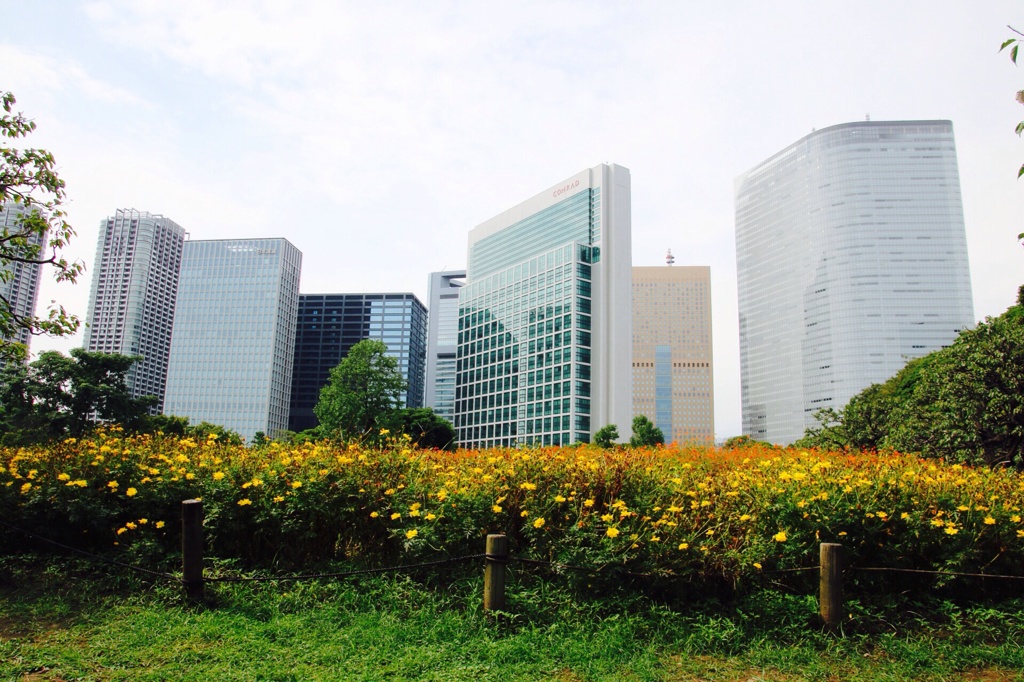 都心のオアシス