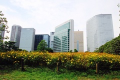 都心のオアシス