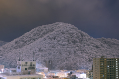 風のない雪の日