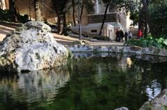 緑の泉