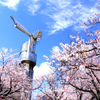 桜とメタル風車