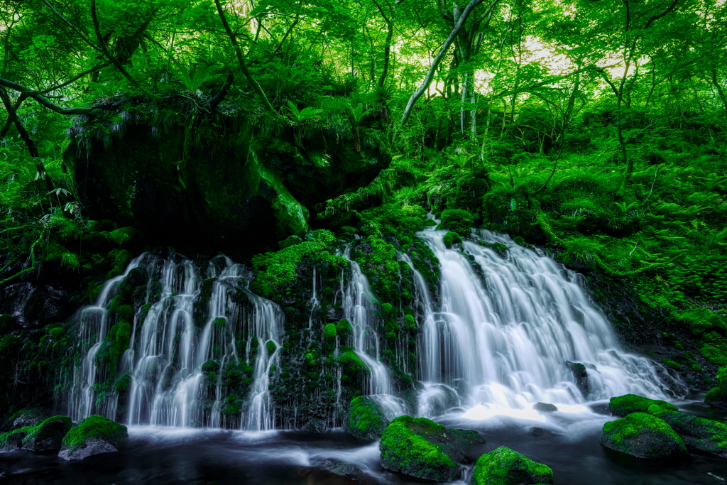 元滝伏流水