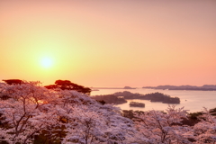 西行戻しの松公園