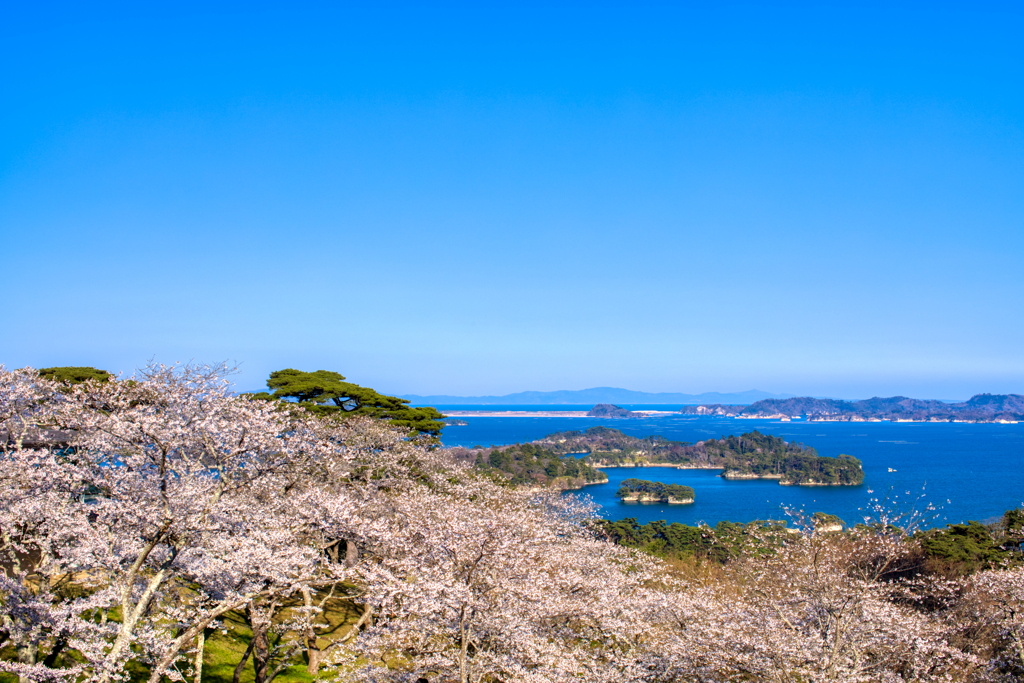 西行戻しの松公園