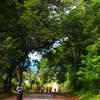 P8081887