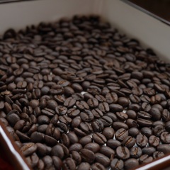 Kilimanjaro roast