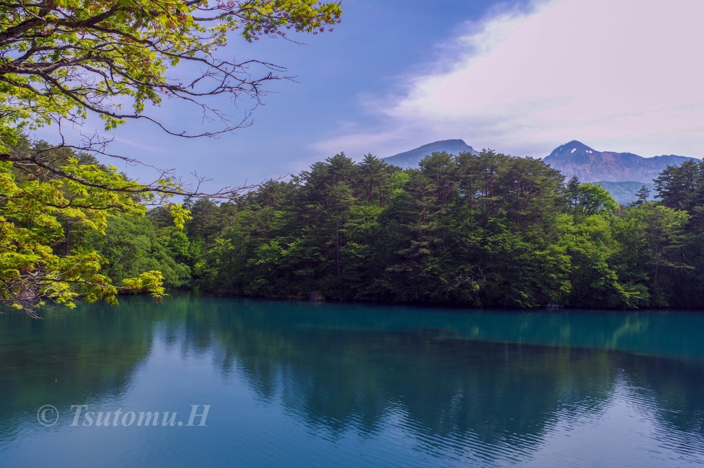 コバルトブルーの水面