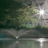 夜の噴水