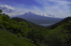 新緑と富士