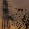 河原の涼風