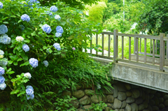 初夏の日の一角