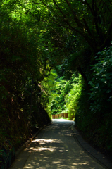 秘密の抜け道