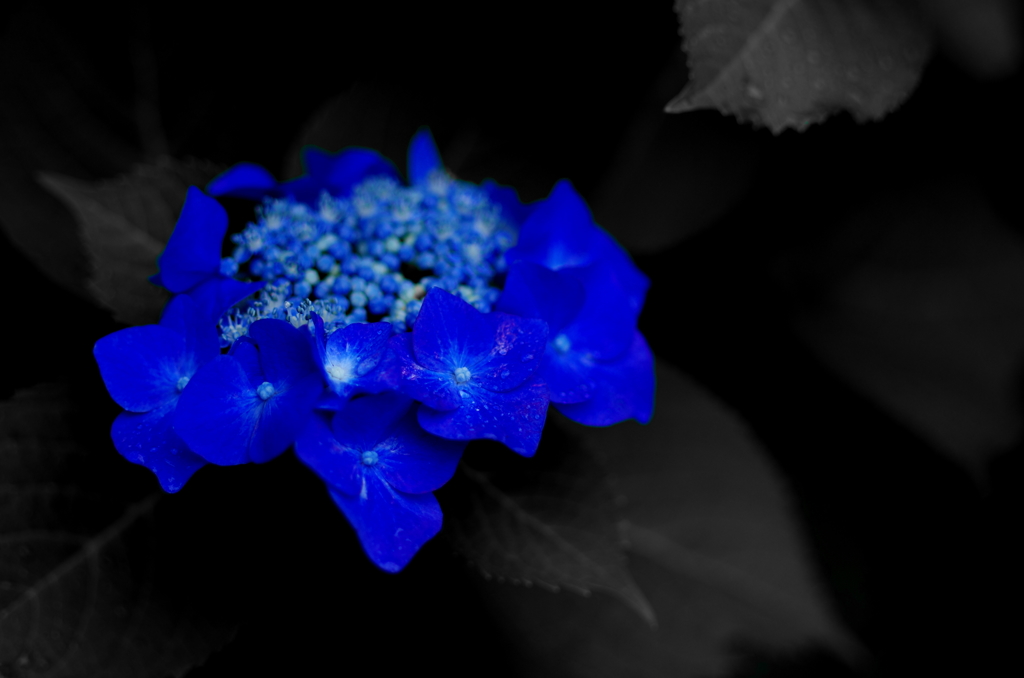 IMGP0311