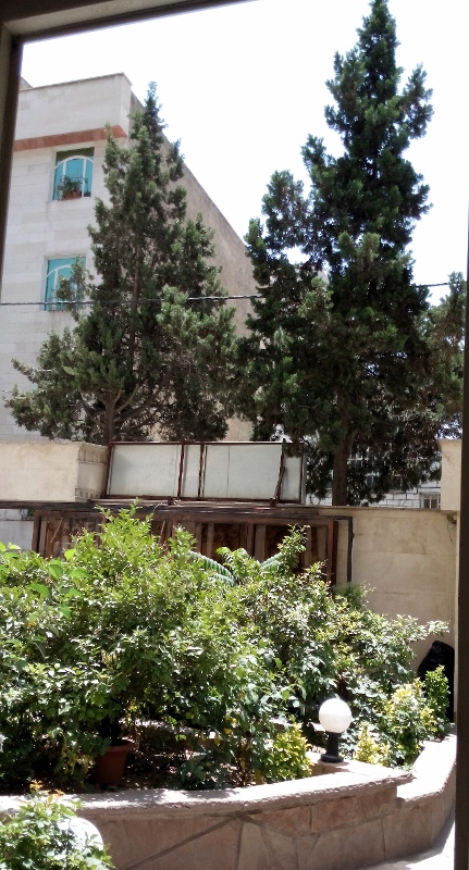 IMG_201407188_110134 (431x800)