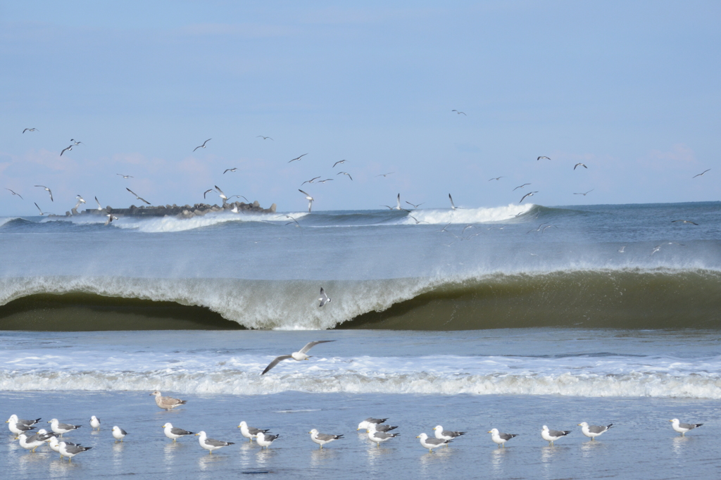 日立の海岸にて２