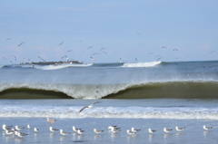 日立の海岸にて２