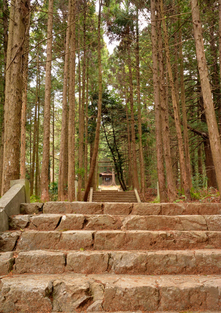 嘉多山公園神社１