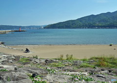 宇佐美海岸にて１