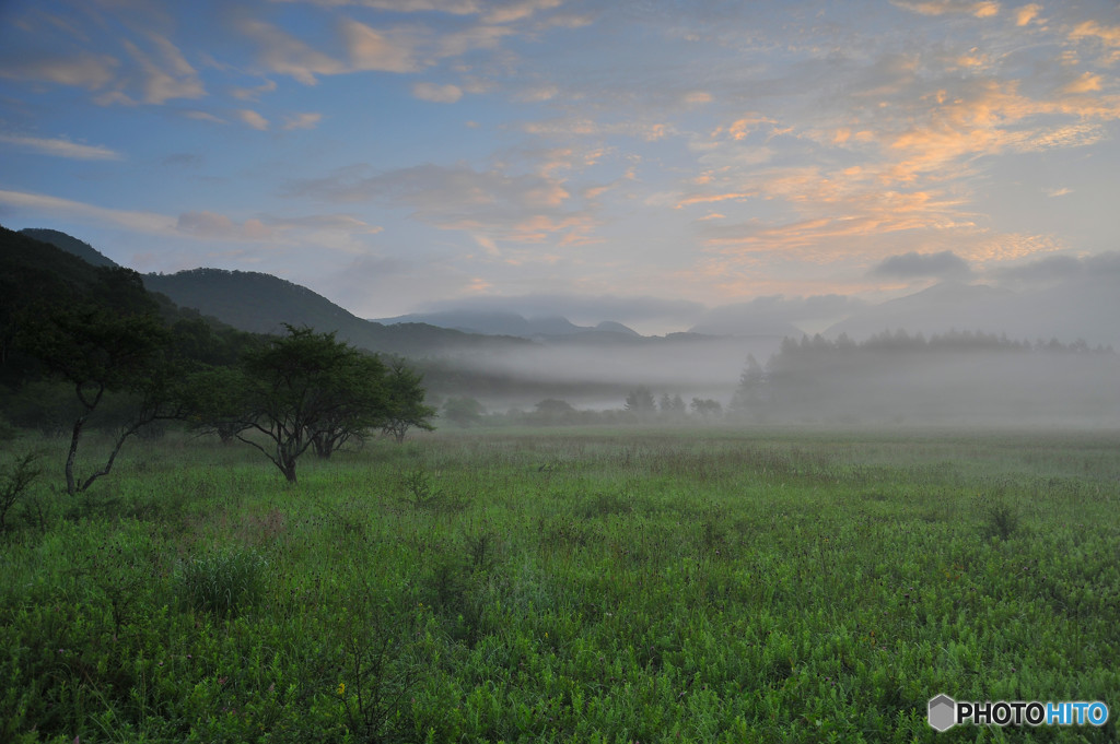 小田代ヶ原の夜明け２
