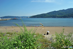 宇佐美海岸にて２