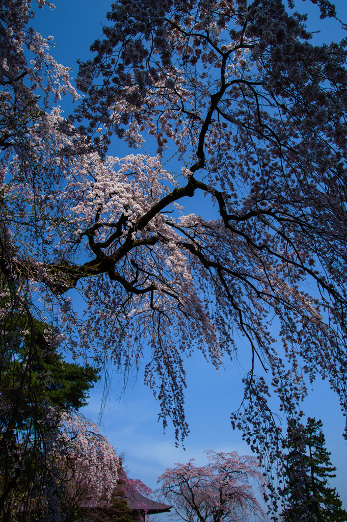 妙義神社にて２