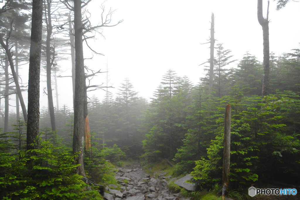 高見石〜白駒池にて３