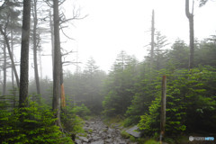 高見石〜白駒池にて３