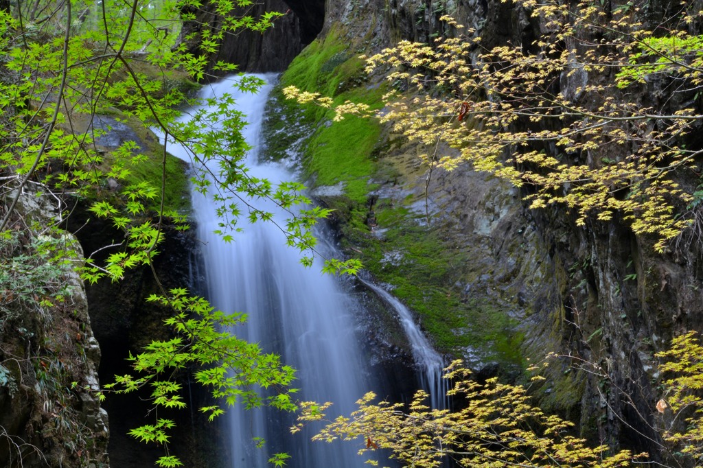 奥多摩　海沢渓谷にて　３