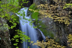 奥多摩　海沢渓谷にて　３