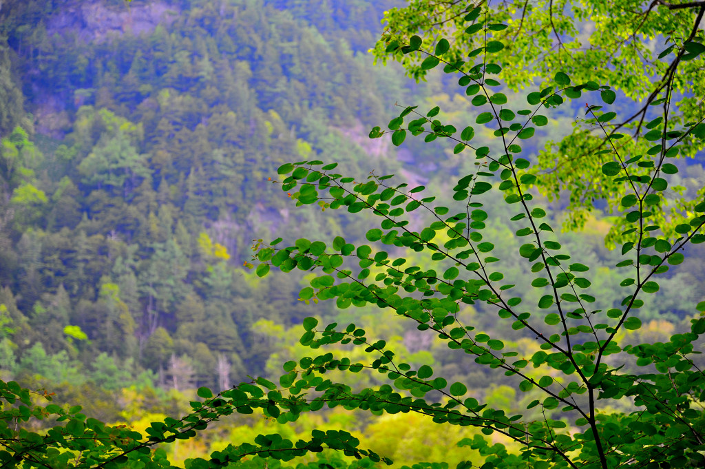 上高地でのひと時
