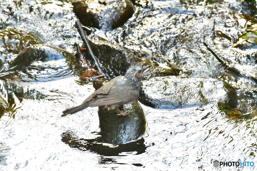 ブルブル、、、、