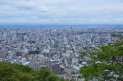 札幌　円山公園　山頂から、、、２