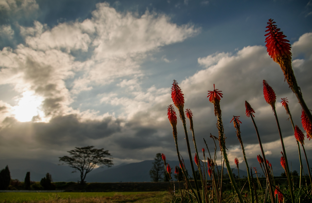 良い感じ、、、、
