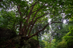 伊香保森林公園にて２