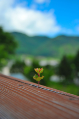 こんなところに、、、１