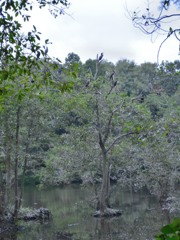 真岡市　井頭公園