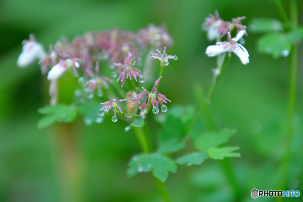 溢れんばかりの、、、、