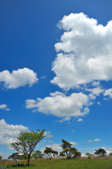 大空と、、、、１