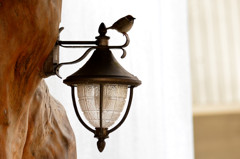 こんな所に（栃木県民の森）