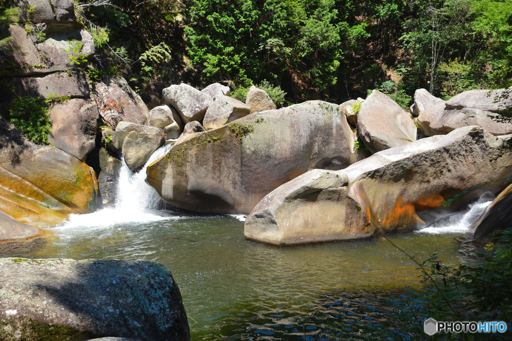岩の生き物が溢れる