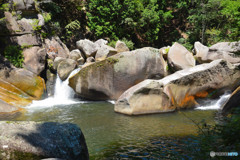 岩の生き物が溢れる