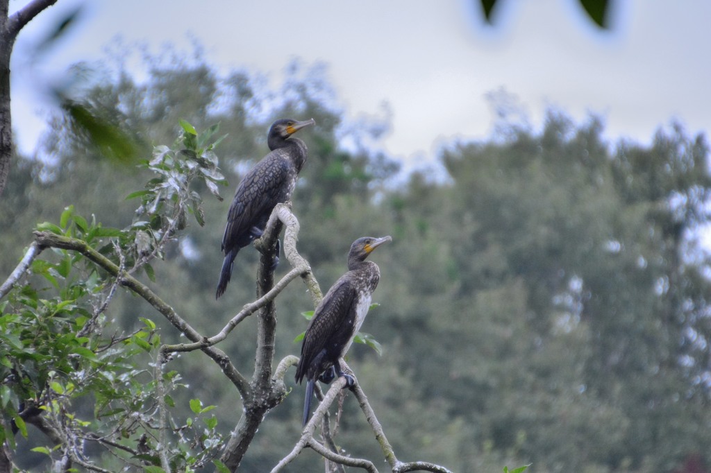 どこ見つめてるの？＜井頭公園にて＞