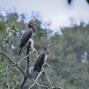 どこ見つめてるの？＜井頭公園にて＞