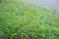 木曽駒ケ岳にて17