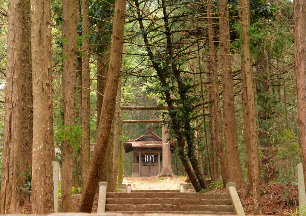 嘉多山公園神社２