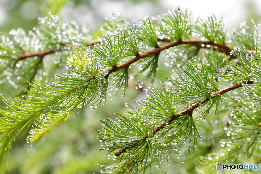 宝石がたくさん！