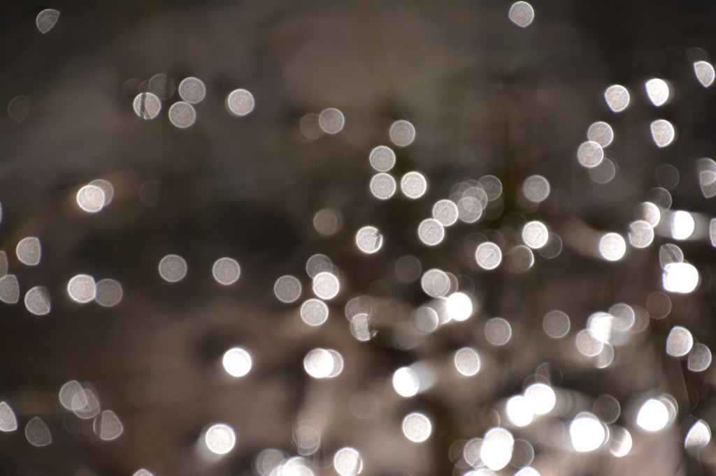 光のいたずらっ子２