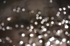 光のいたずらっ子２