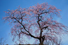 妙義神社にて３